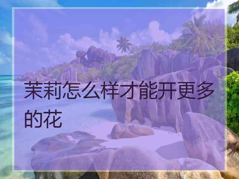 茉莉怎么样才能开更多的花