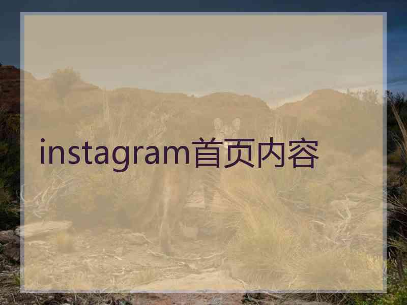 instagram首页内容