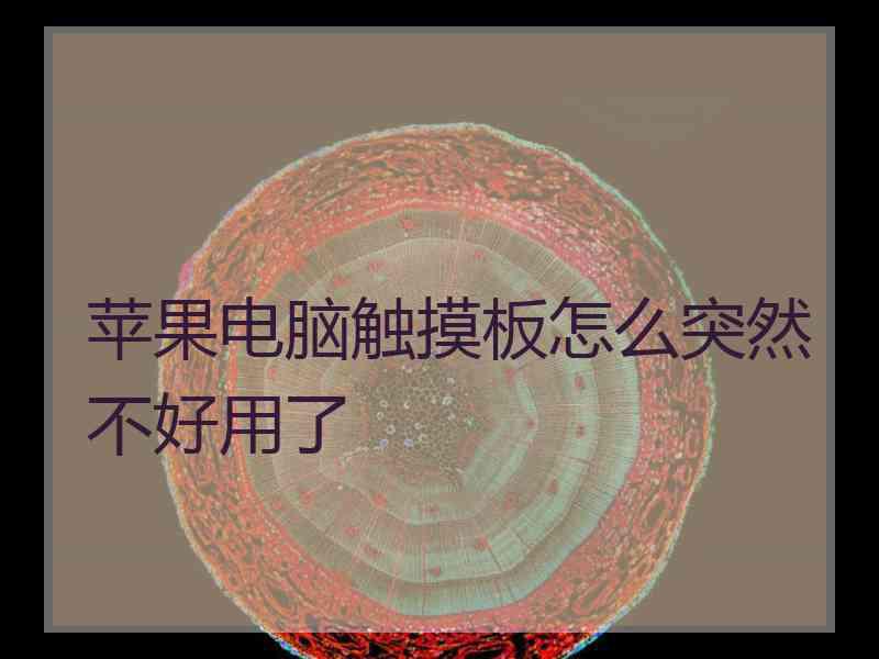 苹果电脑触摸板怎么突然不好用了