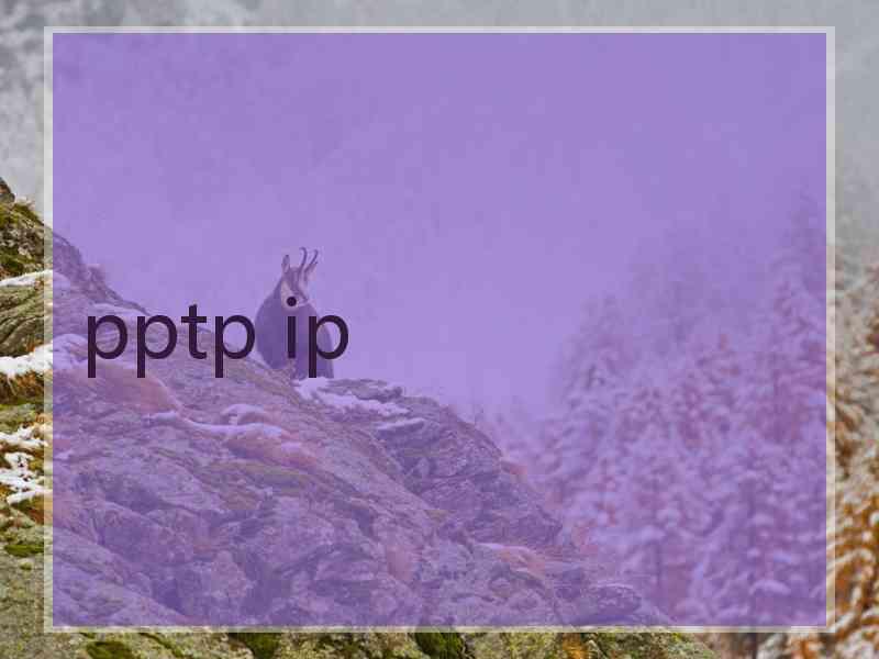pptp ip