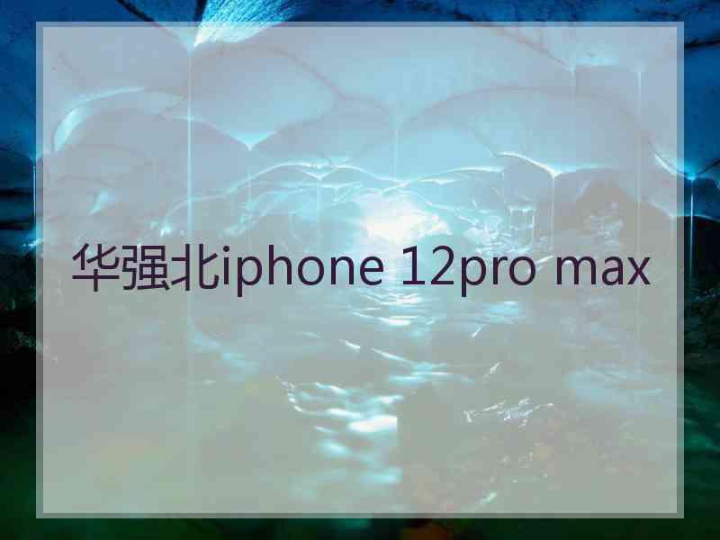 华强北iphone 12pro max