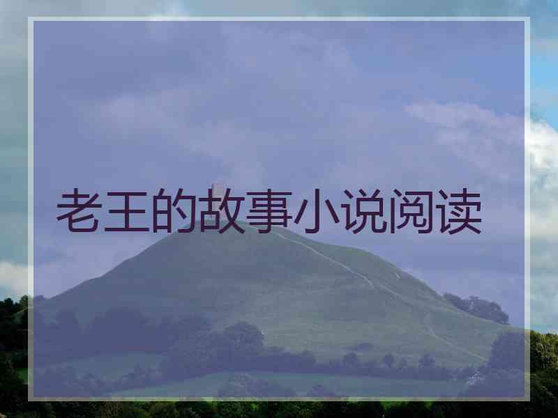 老王的故事小说阅读