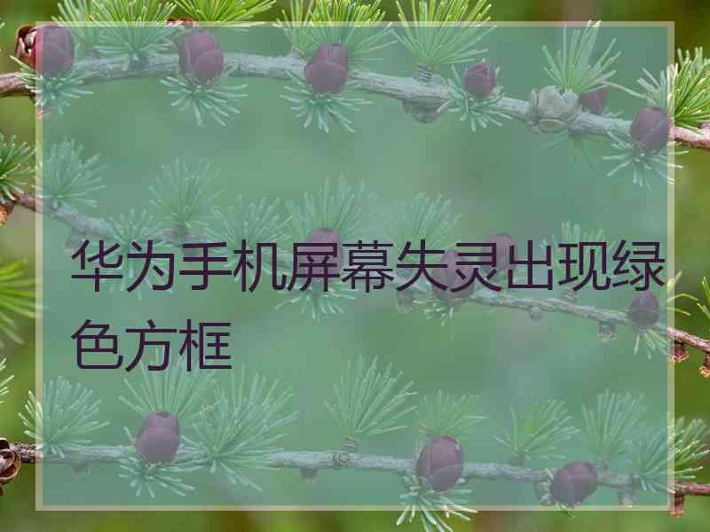 华为手机屏幕失灵出现绿色方框