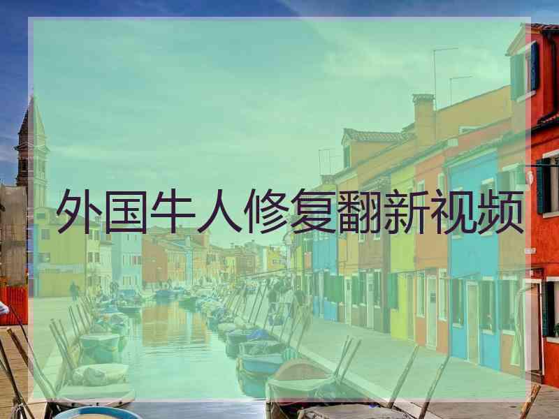 外国牛人修复翻新视频
