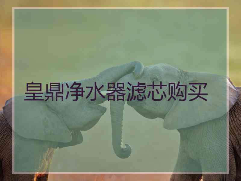 皇鼎净水器滤芯购买
