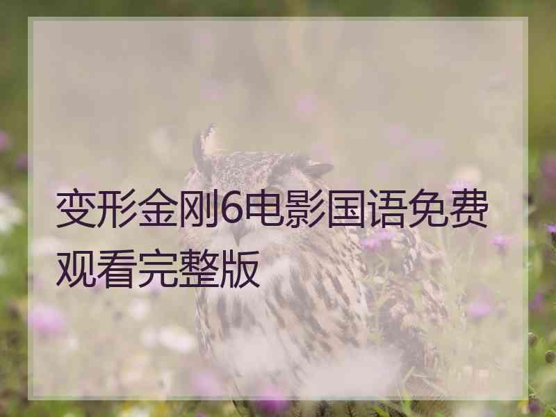 变形金刚6电影国语免费观看完整版