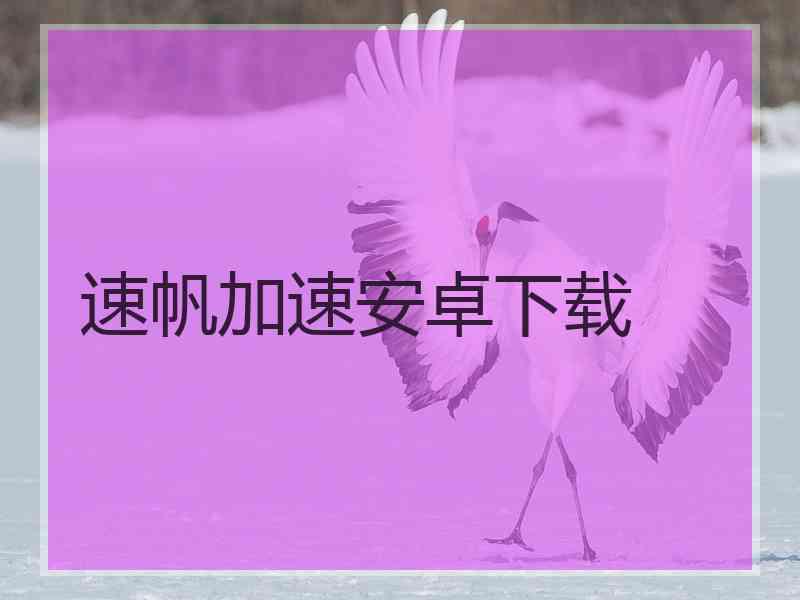 速帆加速安卓下载