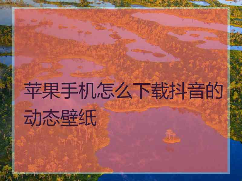 苹果手机怎么下载抖音的动态壁纸