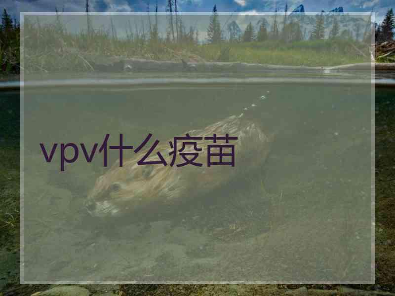 vpv什么疫苗