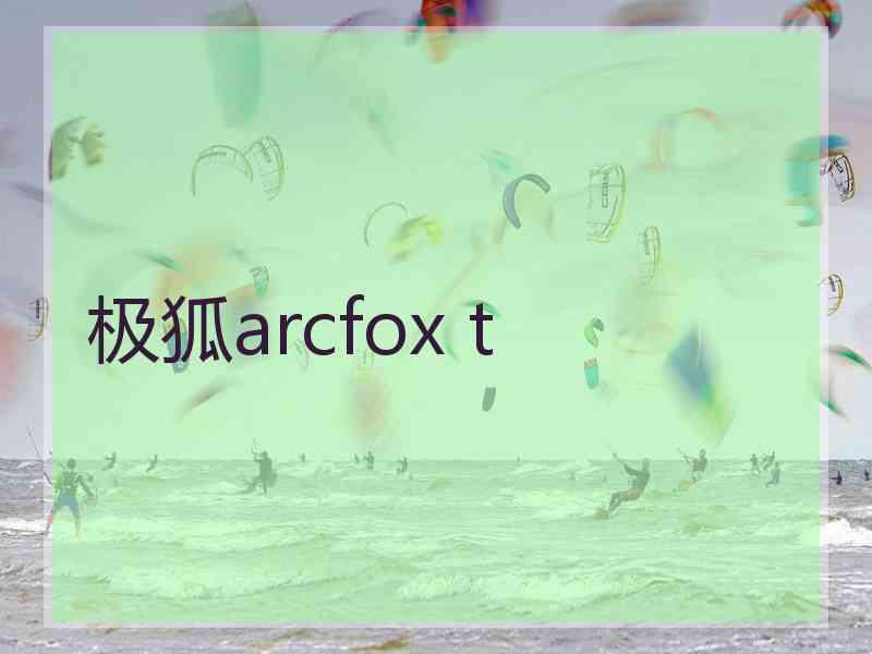 极狐arcfox t