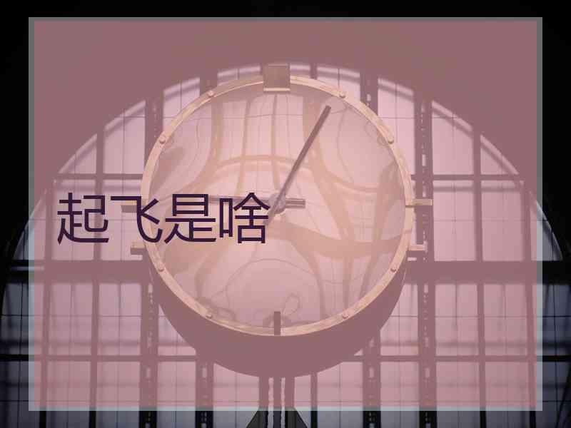 起飞是啥