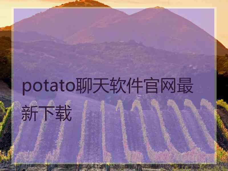 potato聊天软件官网最新下载