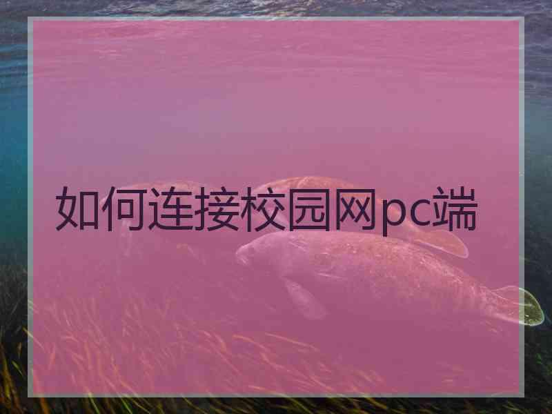 如何连接校园网pc端