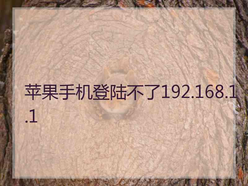 苹果手机登陆不了192.168.1.1