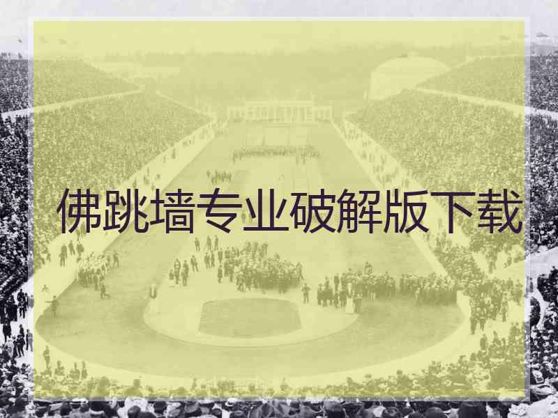佛跳墙专业破解版下载