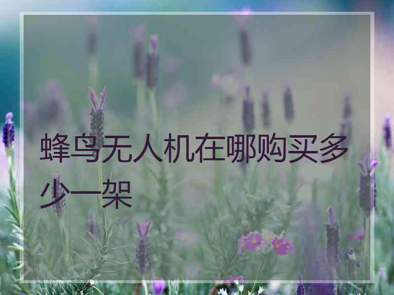 蜂鸟无人机在哪购买多少一架