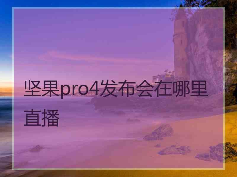 坚果pro4发布会在哪里直播
