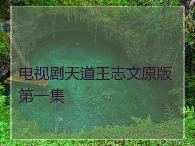 电视剧天道王志文原版第一集