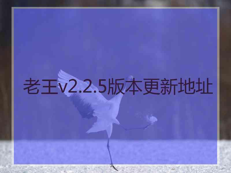 老王v2.2.5版本更新地址