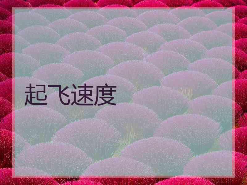 起飞速度