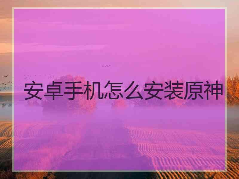 安卓手机怎么安装原神