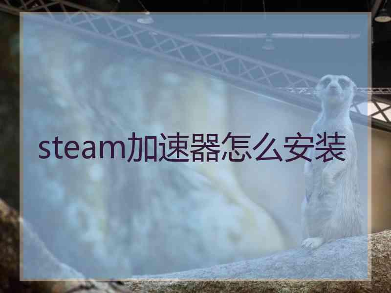 steam加速器怎么安装