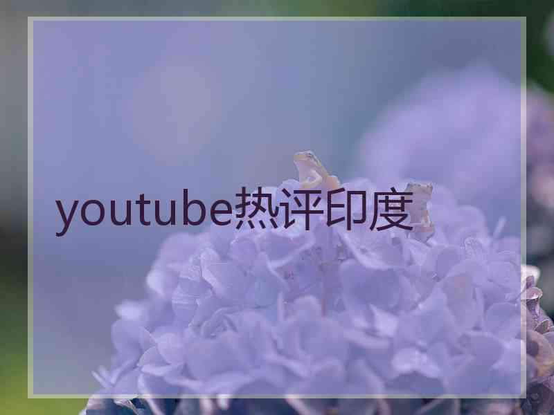 youtube热评印度