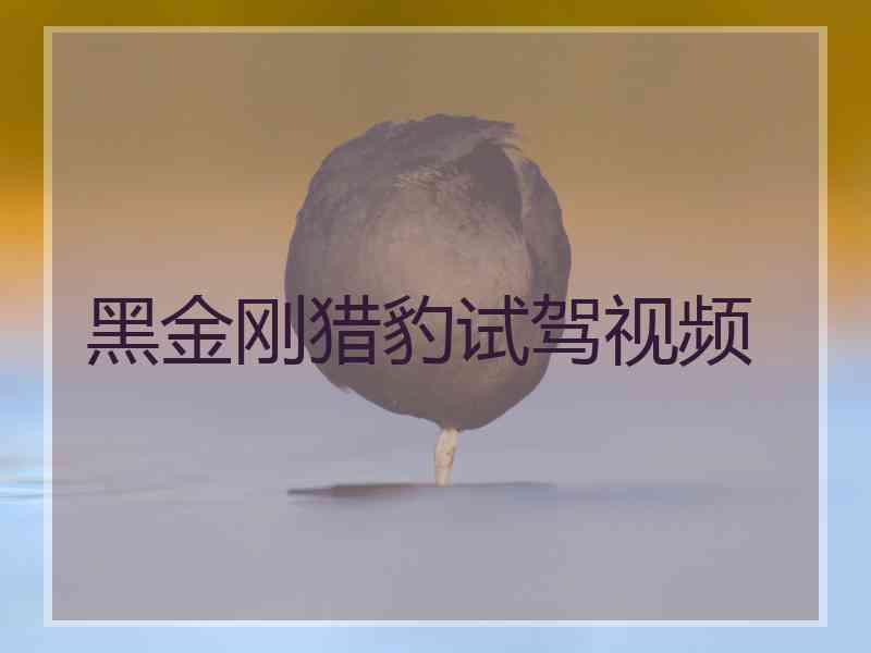 黑金刚猎豹试驾视频