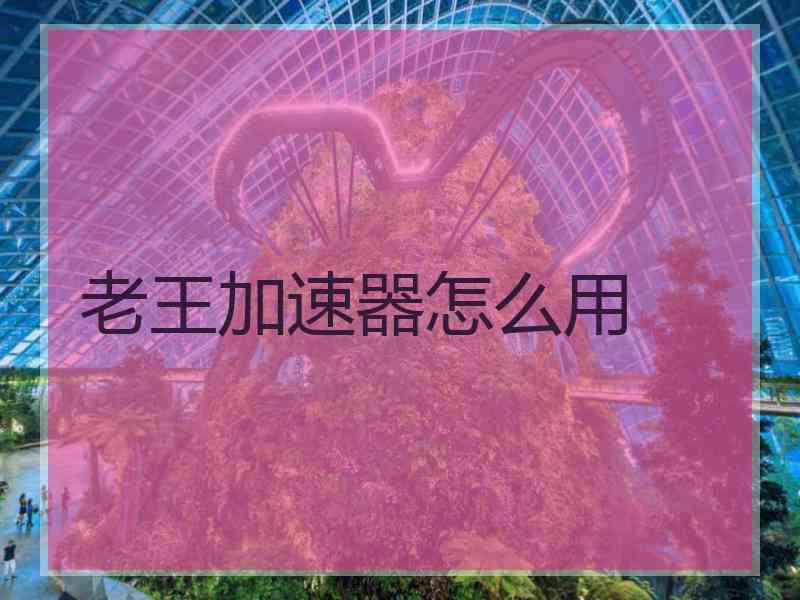 老王加速器怎么用
