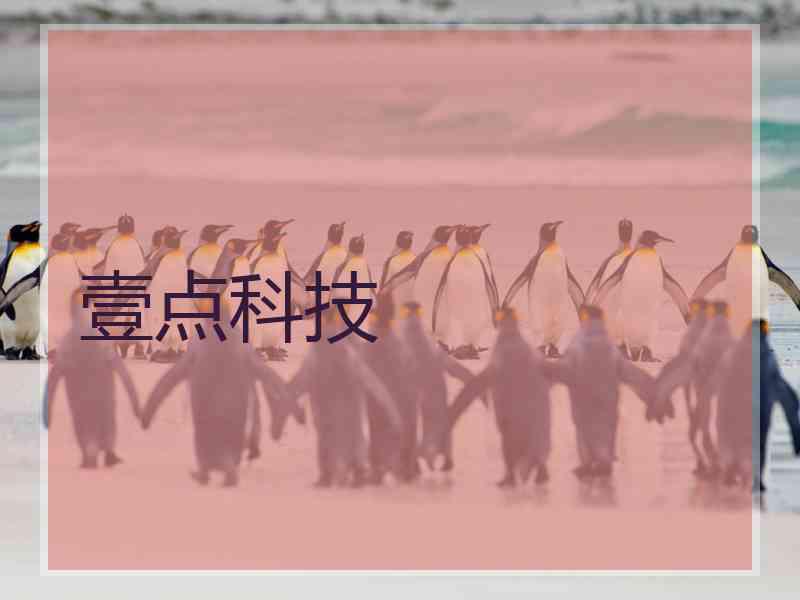 壹点科技