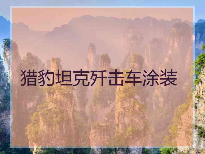 猎豹坦克歼击车涂装