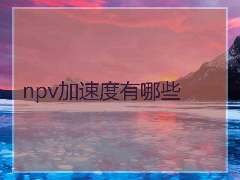 npv加速度有哪些