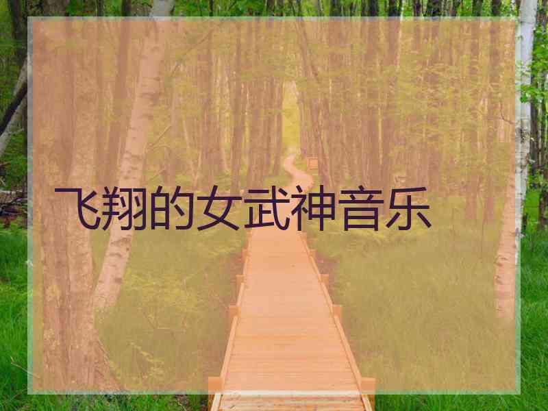 飞翔的女武神音乐