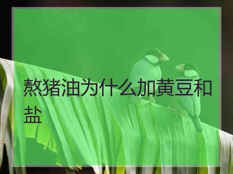 熬猪油为什么加黄豆和盐