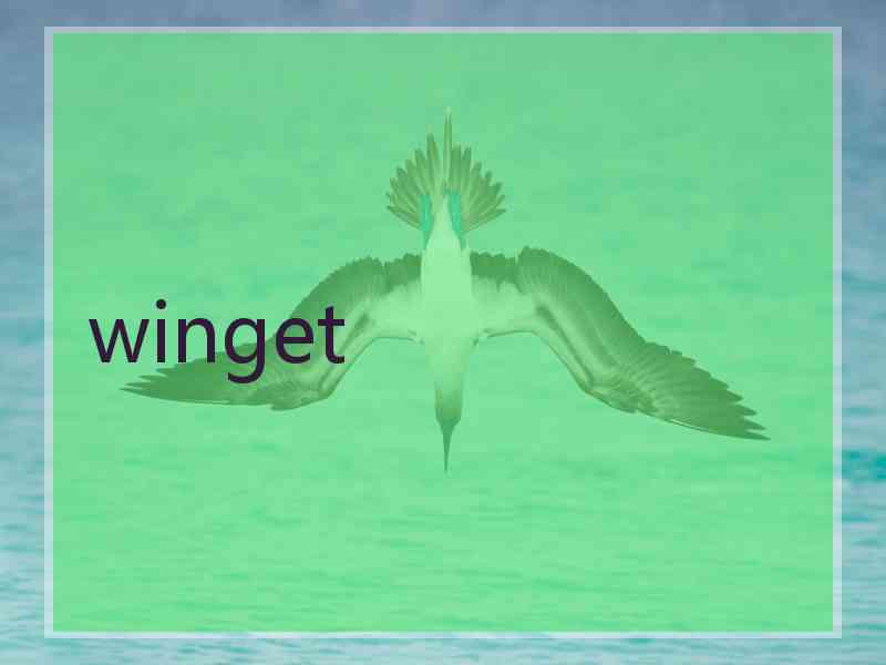 winget