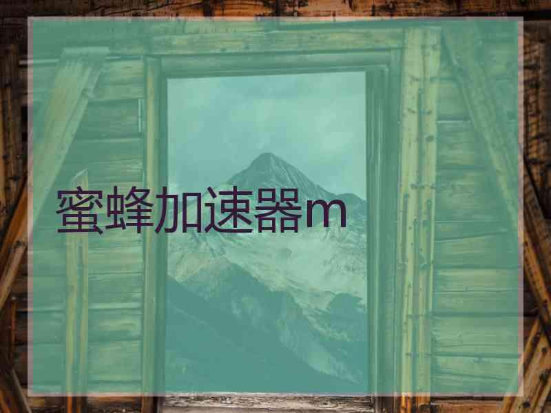 蜜蜂加速器m