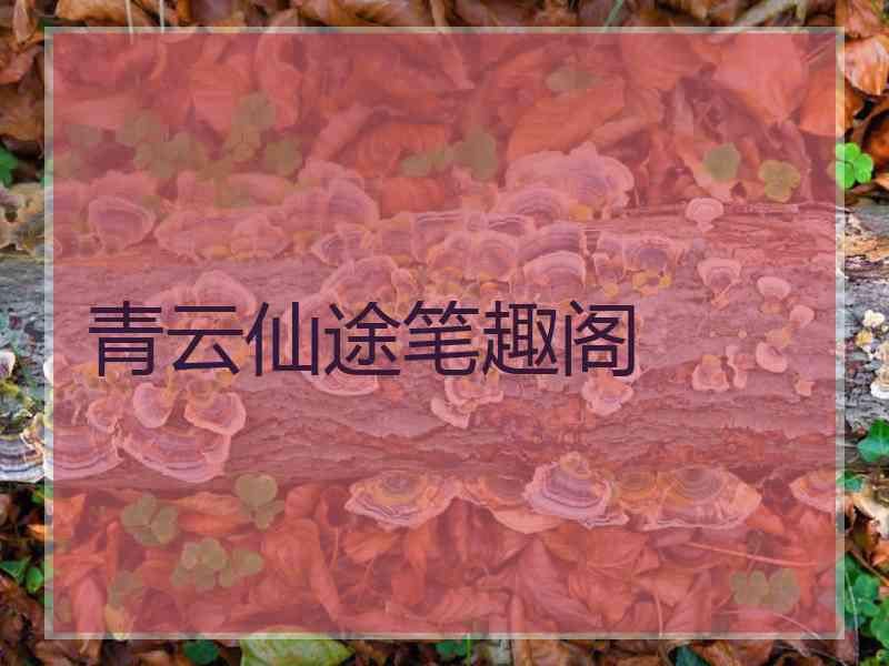 青云仙途笔趣阁