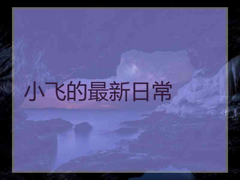 小飞的最新日常