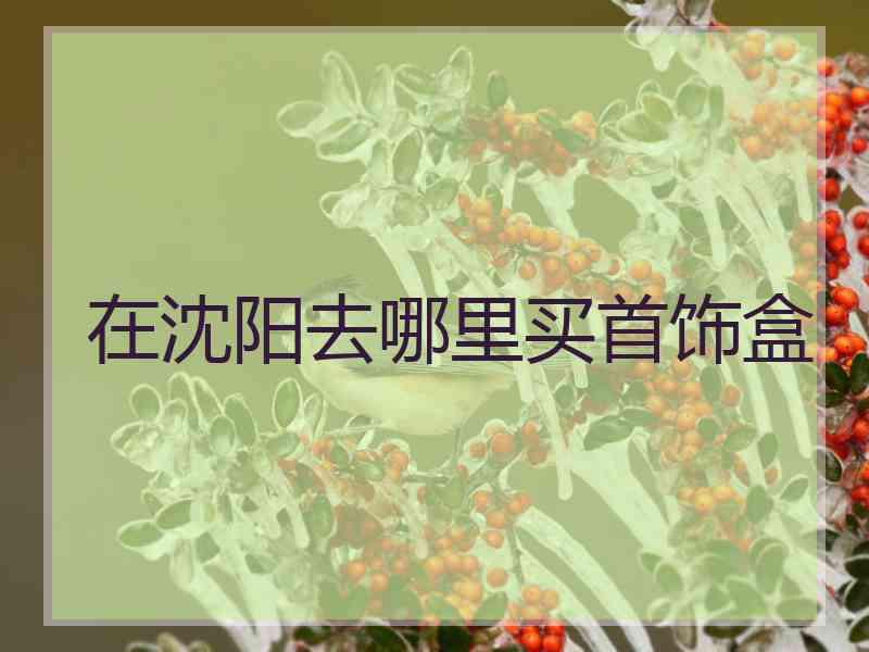 在沈阳去哪里买首饰盒