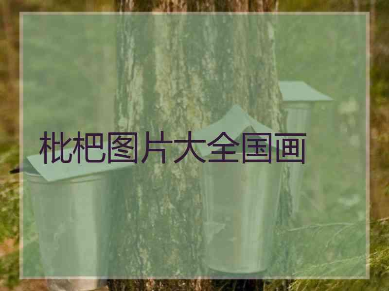 枇杷图片大全国画