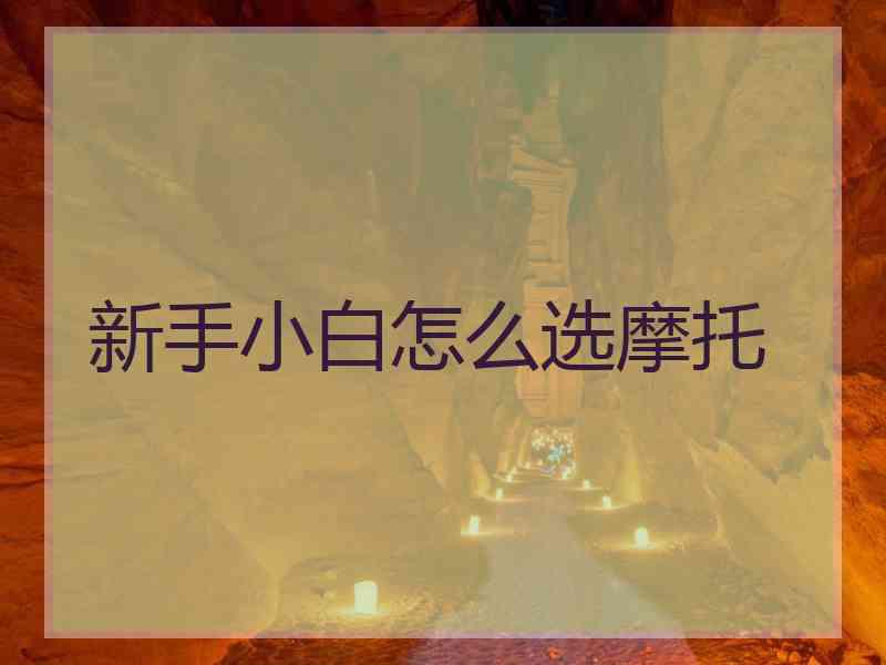 新手小白怎么选摩托