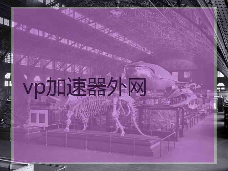 vp加速器外网