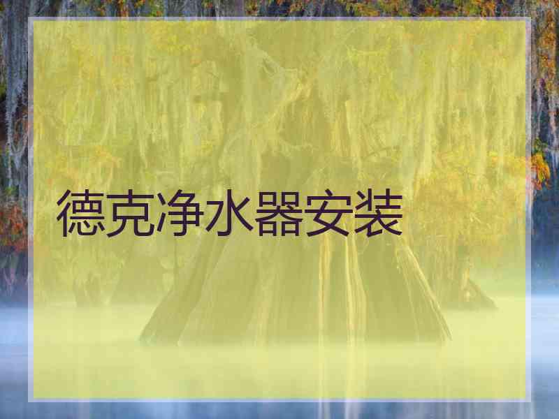 德克净水器安装