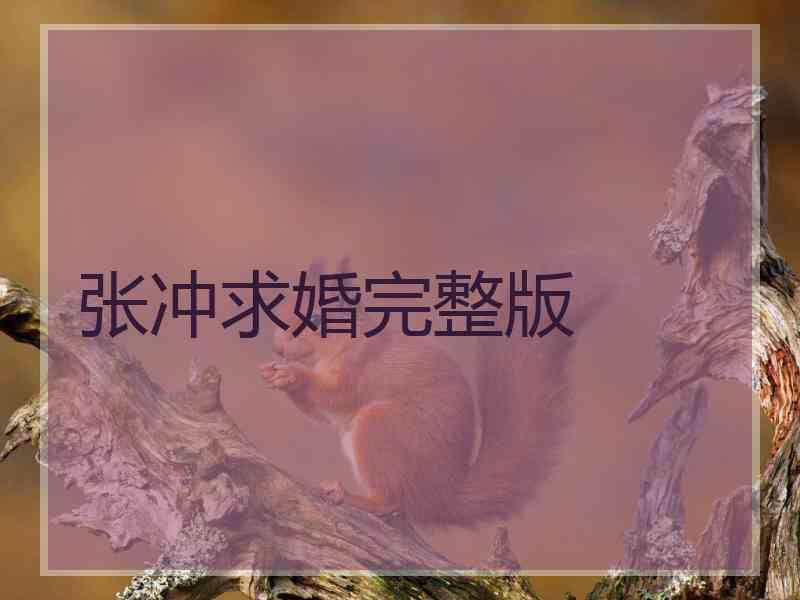 张冲求婚完整版