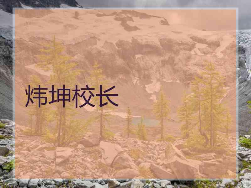 炜坤校长