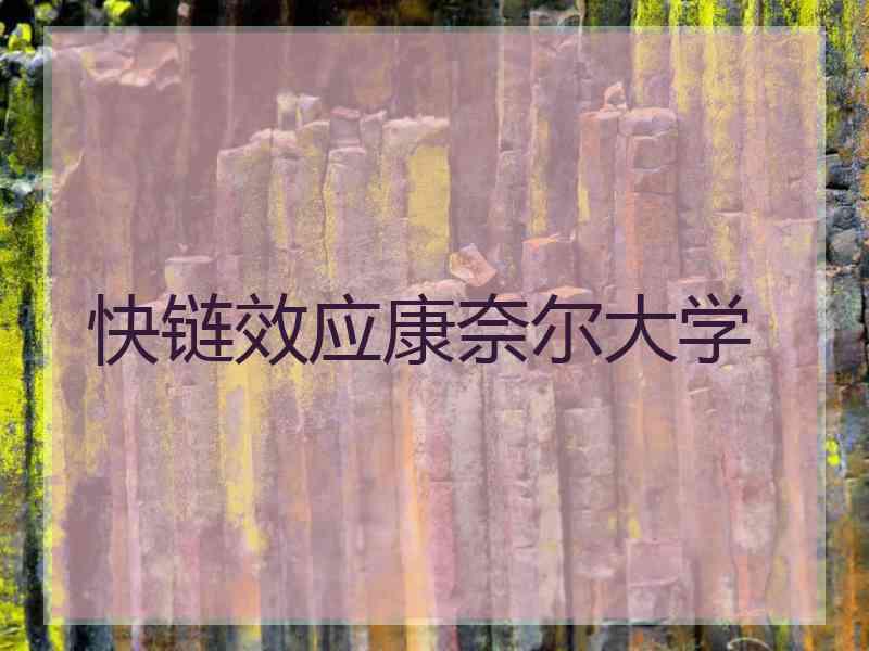 快链效应康奈尔大学