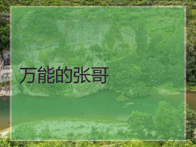 万能的张哥