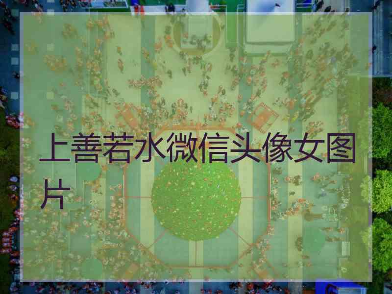 上善若水微信头像女图片