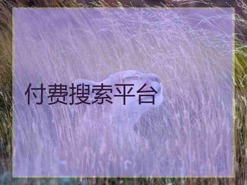 付费搜索平台