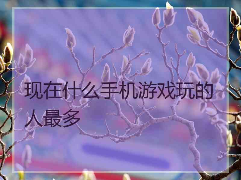 现在什么手机游戏玩的人最多